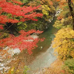 金蔵落しの渓流
