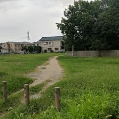 昭和公園