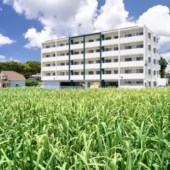 Comfort Villa