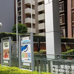 城西国際大学