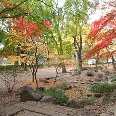もみじ谷
