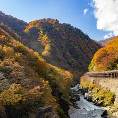 赤芝峡