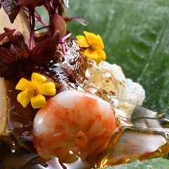 京都 湯の花 翠泉