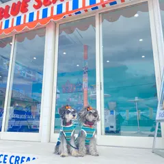 ブルーシール淡路島サンセット店