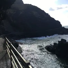 角田岬