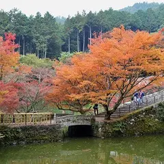 円通寺