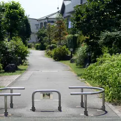 福岡江川緑道