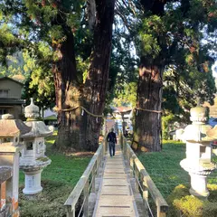 栢野の大杉