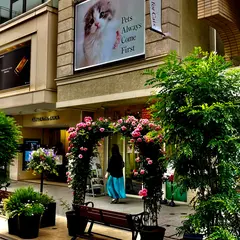 横浜元町ショッピングストリート