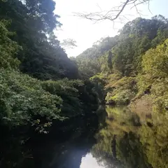 散在ガ池森林公園