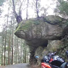 白滝