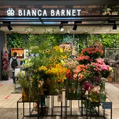 BIANCA BARNET BY OASEEDS