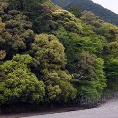 木枯神社