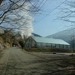 はげの湯共同浴場