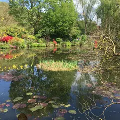 クロード・モネ財団（Claude Monet）