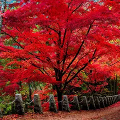 高城山展望台