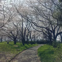 城山緑地