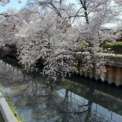 峯分ふれあい広場