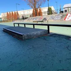 たちかわ中央公園スケートパーク
