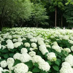 相模原北公園