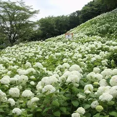 東京サマーランド