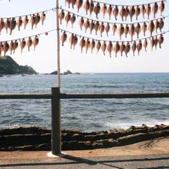 荒磯温泉