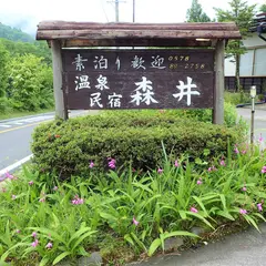 民宿森井