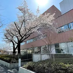津田塾大学千駄ヶ谷キャンパス