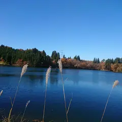 長仙坊池