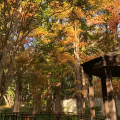 都立林試の森公園