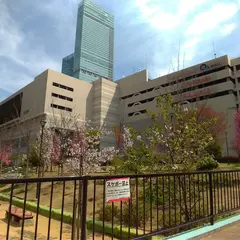 金塚ふれあい中央公園