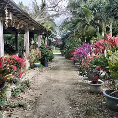 バラビドー観光農園