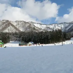 中里スノーウッドスキー場