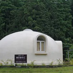 森のきのこ