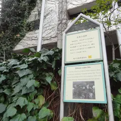 道灌山遺跡