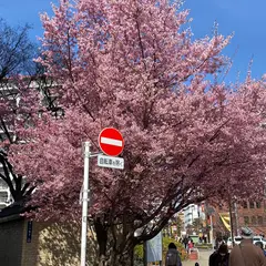 王子駅前公園