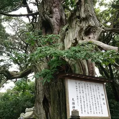 大瀬 有料駐車場