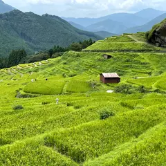丸山千枚田