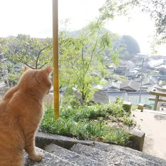 豊玉姫神社