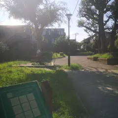 どんぐりひろば公園