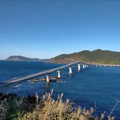 鳥の巣山展望所