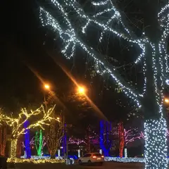 周南冬のツリーまつり会場