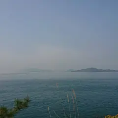 スナメリクジラ廻遊海面の案内板