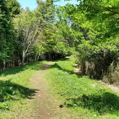 鷹巣山