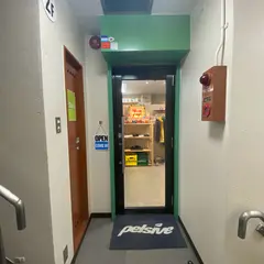 Pelsive Store
