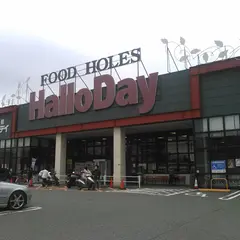 ハローデイ大佐野店