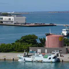 泊港
