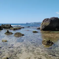 犬の白浜