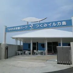 つくみイルカ島