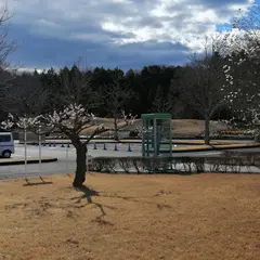 井頭公園駐車場